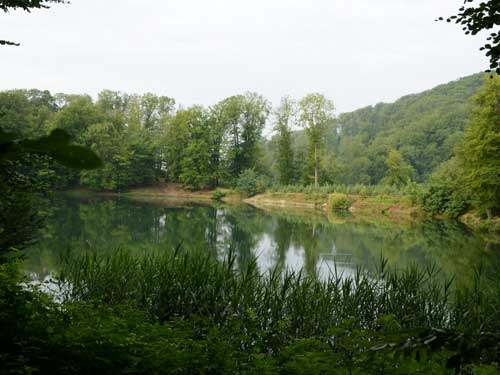 Foto Dincolo de papuris (c) Petru Goja